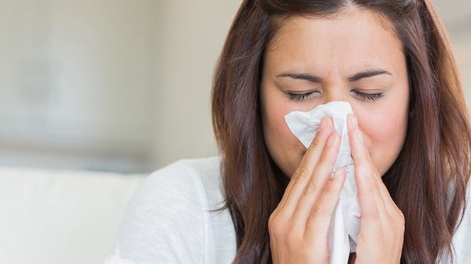 Hắt xì hơi: Những sự thật vô cùng thú vị - ảnh 1