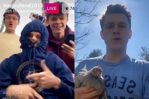 Tom Holland mua gà về nuôi vì hết trứng - ảnh 2