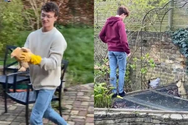 Tom Holland mua gà về nuôi vì hết trứng - ảnh 3