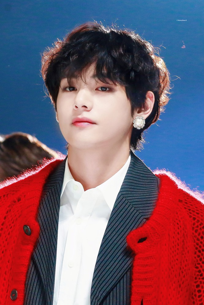 V (BTS) là nam idol được fansite khác đăng ảnh nhiều nhất - ảnh 8