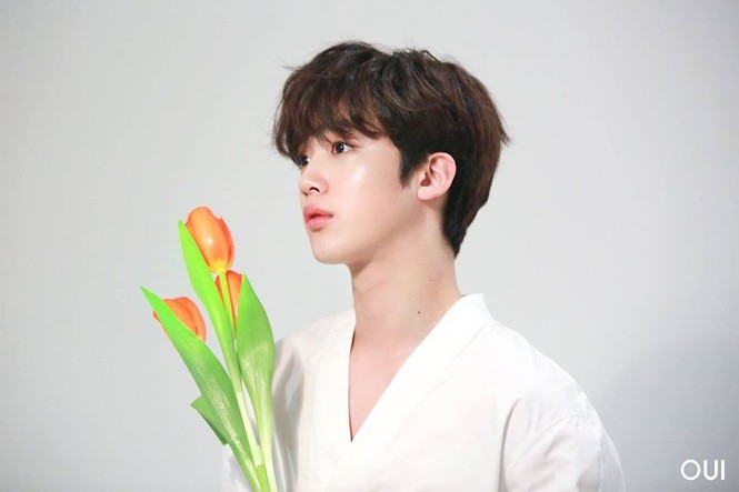 Kim Yohan liên tục bị hủy dự án, đúng là thánh nhọ - ảnh 3