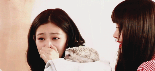 Nhìn lạnh lùng sang chảnh vậy thôi chứ Jennie chính là thánh nhút nhát của BLACKPINK - ảnh 3