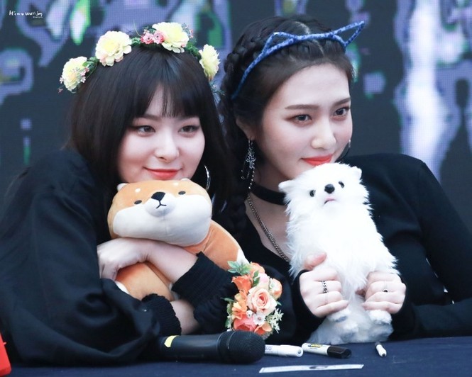 Joy và Seulgi (Red Velvet) bị người Hàn ném đá vì một lý do không hiểu nổi - ảnh 1