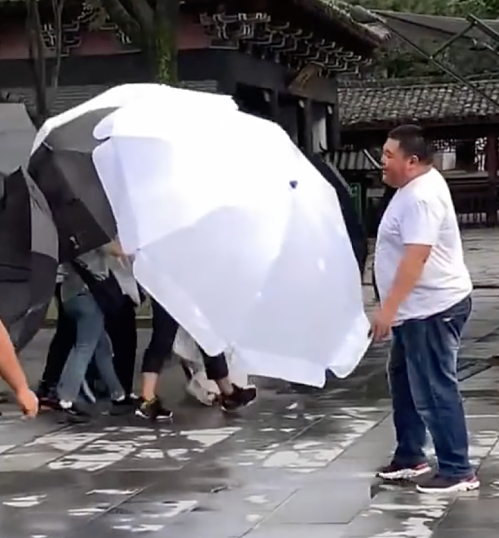 Che ô để bảo mật tạo hình phim mới, Dương Tử lẫn Cúc Tịnh Y đều bị chê “làm lố” - ảnh 2