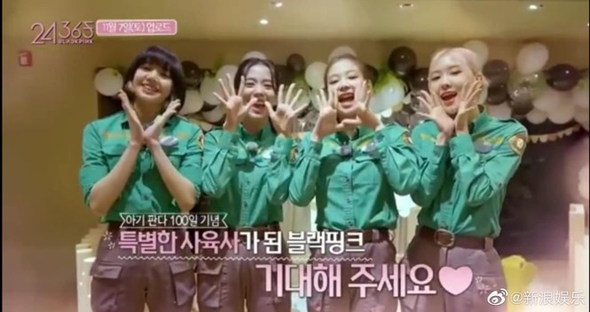 Rắc rối BLACKPINK bế ẵm gấu trúc ngày càng trầm trọng, YG Ent phản ứng nhanh gọn nhưng chưa đủ - ảnh 2
