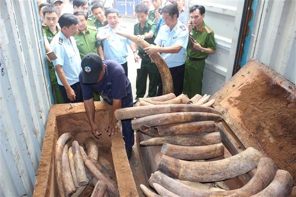 10 triệu USD cho phòng, chống buôn các loài hoang dã - ảnh 1