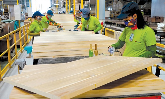 Việt Nam và EU ký thỏa thuận chống khai thác gỗ bất hợp pháp - ảnh 2