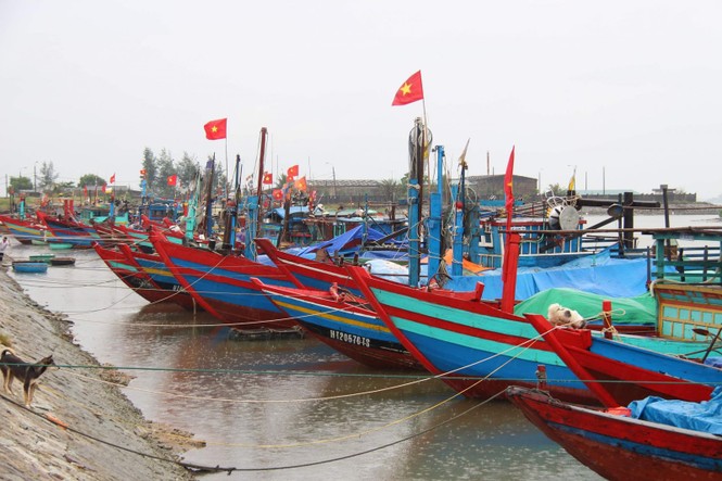 Áp thấp nhiệt đới kỳ dị 'đánh võng' vào đất liền, 10 địa phương cấm biển - ảnh 2