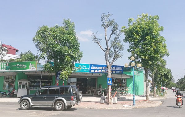 Cận cảnh loạt công trình vi phạm được “đặc cách” ở Gia Lâm - ảnh 3