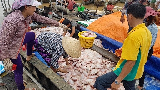 Nước nơi cá chết hàng loạt trên sông La Nga ô nhiễm vượt giới hạn - ảnh 1