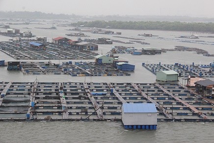 Ba tỉnh Đông Nam Bộ lên phương án ứng phó bão số 9 - ảnh 5