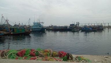 Ba tỉnh Đông Nam Bộ lên phương án ứng phó bão số 9 - ảnh 3