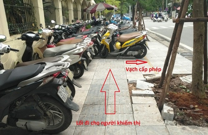 Người đi bộ 'húc' vào cây, cấp phép giữ xe trên cả lối đi của người mù - ảnh 1