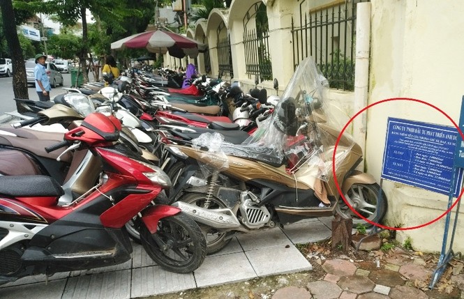 Người đi bộ 'húc' vào cây, cấp phép giữ xe trên cả lối đi của người mù - ảnh 3