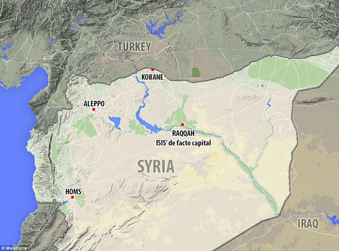 Thổ Nhĩ Kỳ rầm rộ đưa xe tăng áp sát biên giới Syria - ảnh 16