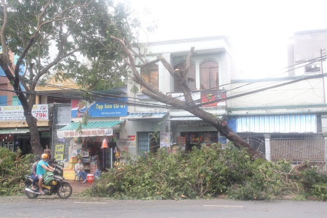 Vũng Tàu tất bật khắc phục hậu quả bão số 9 - ảnh 3