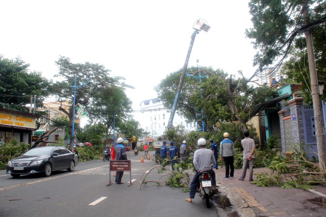 Vũng Tàu tất bật khắc phục hậu quả bão số 9 - ảnh 12