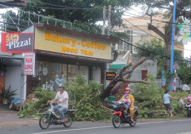 Vũng Tàu tất bật khắc phục hậu quả bão số 9 - ảnh 11
