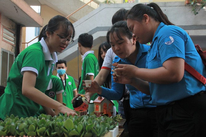 Bạn trẻ hiến máu, đổi rác lấy cây xanh... tại ngày hội Quốc tế người tình nguyện - ảnh 4