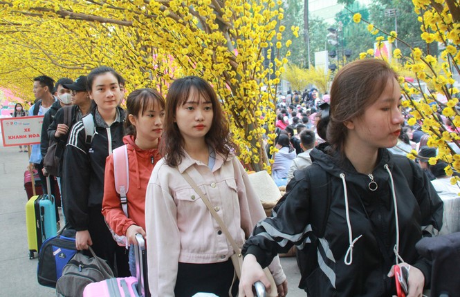 2.500 sinh viên TPHCM lên 'Chuyến xe mùa xuân' về quê đón Tết - ảnh 8