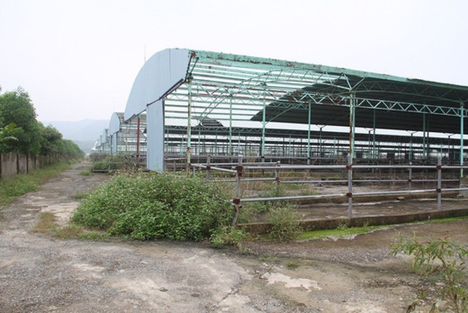 BIDV giải ngân cho dự án chăn nuôi bò ở Hà Tĩnh bao nhiêu tiền - ảnh 3