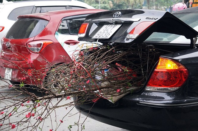 Người dân chở đào, quất về quê đón Tết, đường phố Hà Nội tê liệt - ảnh 7