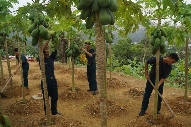 Cận cảnh chiến sĩ phòng không canh giữ vùng trời Đông Bắc - ảnh 9