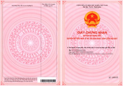 TP.HCM: Căn hộ có sổ hồng hút khách - ảnh 1