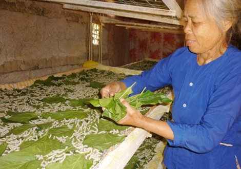 Ngôi làng đổi đời nhờ nghề “ăn cơm đứng“ - ảnh 3