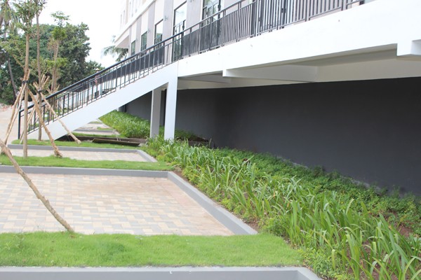 First Home Thạnh Lộc, giấc mơ an cư đã thành hiện thực - ảnh 1