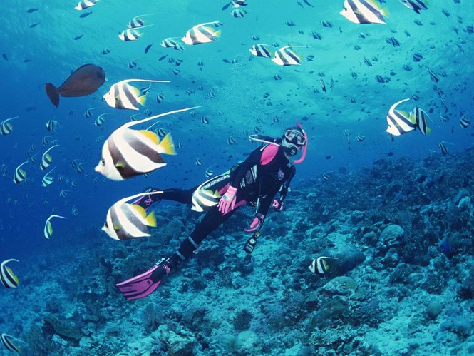 3 lý do Nha Trang đạt top 10 điểm đến hấp dẫn nhất Châu Á 2016 - ảnh 7