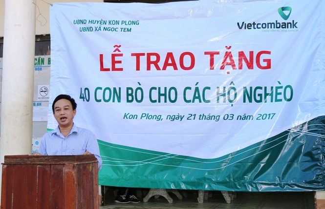 Vietcombank Kon Tum trao tặng 100 con bò giống cho các hộ nghèo tại huyện KonPlong - ảnh 1