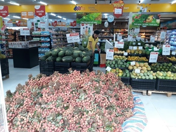 Bầu Hiển giữa đường cứu vải - ảnh 3
