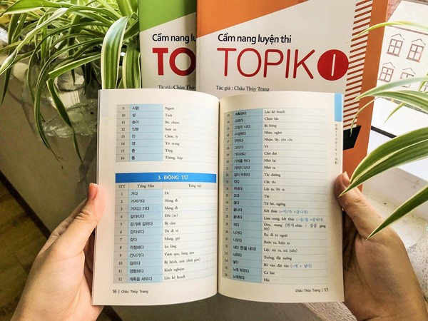 Review bộ sách Cẩm nang luyện thi TOPIK của cô Châu Thùy Trang - ảnh 3