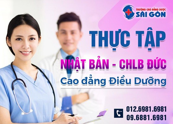 Học Điều Dưỡng Trường Cao đẳng Dược Sài Gòn có thể sang Nhật Bản làm - ảnh 1