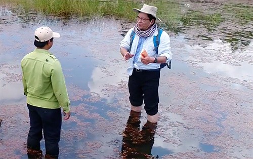 Trữ nước quanh năm, sếu đầu đỏ về Tràm Chim giảm 100 lần - ảnh 1