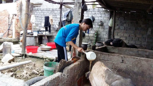 Éo le, nữ sinh mồ côi cha ngậm ngùi nhìn giấy báo nhập học ĐH Y - ảnh 4