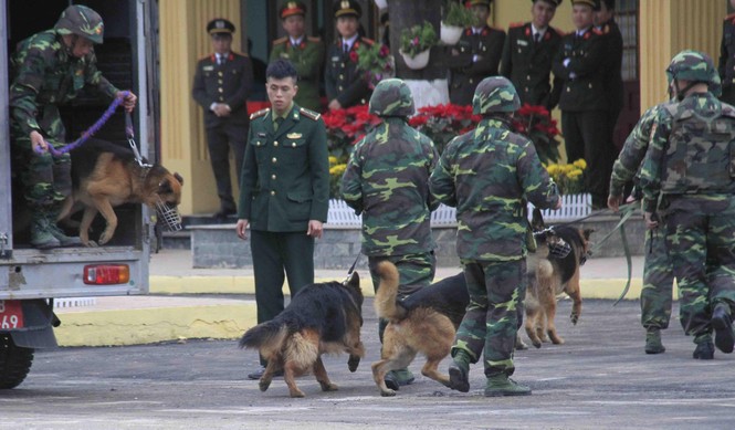 Chó nghiệp vụ, xe bọc thép bảo vệ an ninh ở ga Đồng Đăng - ảnh 6