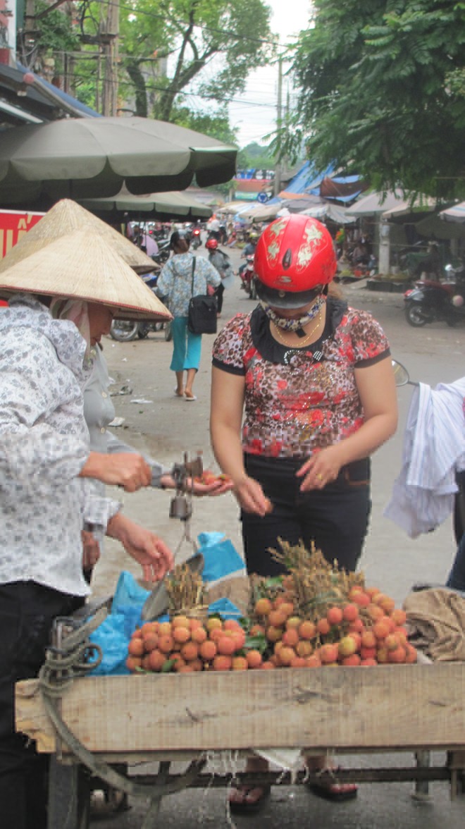 Quả vải Trung Quốc xuất hiện ở Việt Nam - ảnh 1