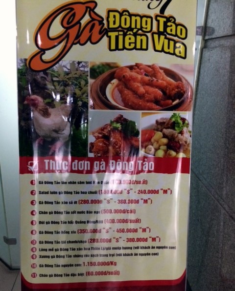 Chân gà 500.000 đồng/chiếc ngon tới cỡ nào? - ảnh 1