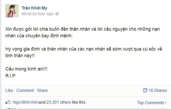 Sao Việt chia buồn với nạn nhân của máy bay MH17 - ảnh 1
