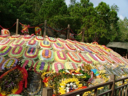 Dòng người tấp nập viếng mộ Đại tướng Võ Nguyên Giáp - ảnh 5
