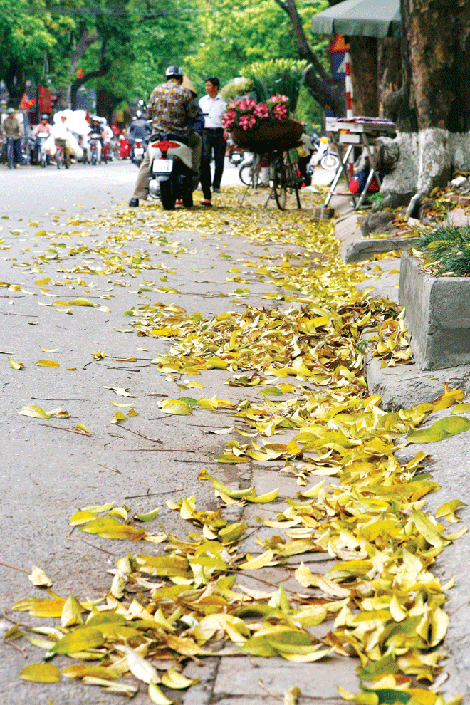 Miền đất nhung nhớ - ảnh 1