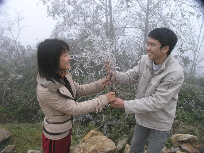 Đội mưa rét lên Sa Pa ngắm băng tuyết - ảnh 2