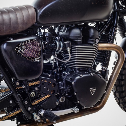 Triumph Bonneville T100 - bản độ David Beckham - ảnh 9
