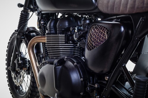 Triumph Bonneville T100 - bản độ David Beckham - ảnh 10