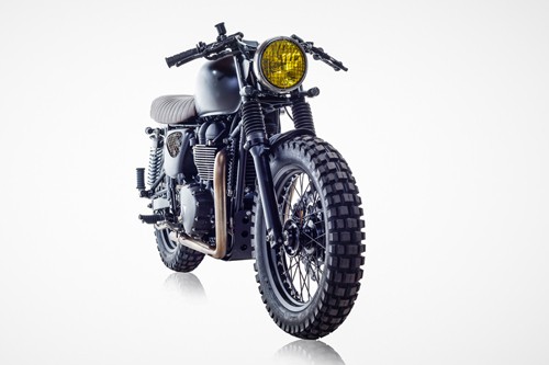 Triumph Bonneville T100 - bản độ David Beckham - ảnh 2