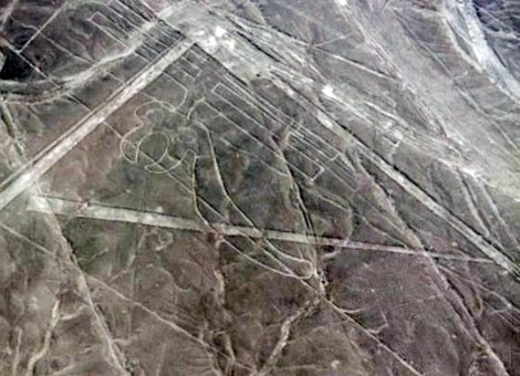 Bí ẩn chưa có lời giải về những hình vẽ Nazca ở Peru - ảnh 1