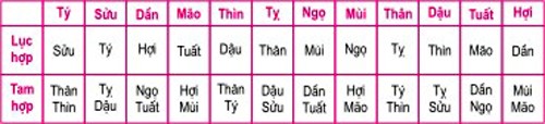 Chọn người xông đất đầu năm 2016 - ảnh 1