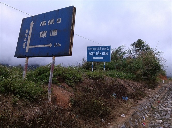Lạ lùng nơi của hồi môn là... củi - ảnh 4